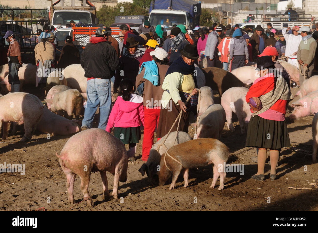 Ecuador, saquisili - Settembre 08: ecuadoriana donne etniche in vestiti nazionali la vendita di prodotti agricoli e di altri prodotti alimentari su un mercato in s Foto Stock