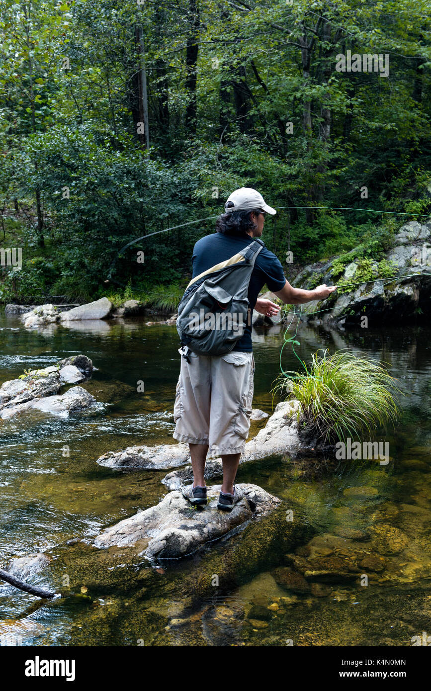 Pesca alla trota guida - uomo utilizza asta di trote per la pesca di trote,bass,bluegill,e pesce gatto wilson Creek North Carolina deserto uomo la pesca Foto Stock