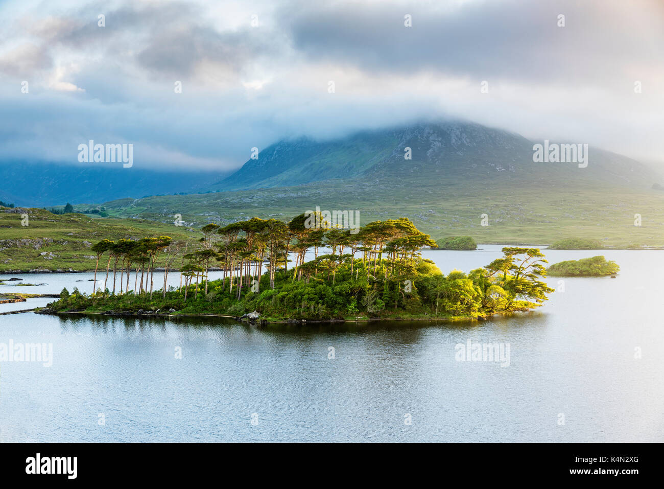 Pine Island sul Lago derryclare, Connemara, nella contea di Galway, connacht provincia, Repubblica di Irlanda, Europa Foto Stock