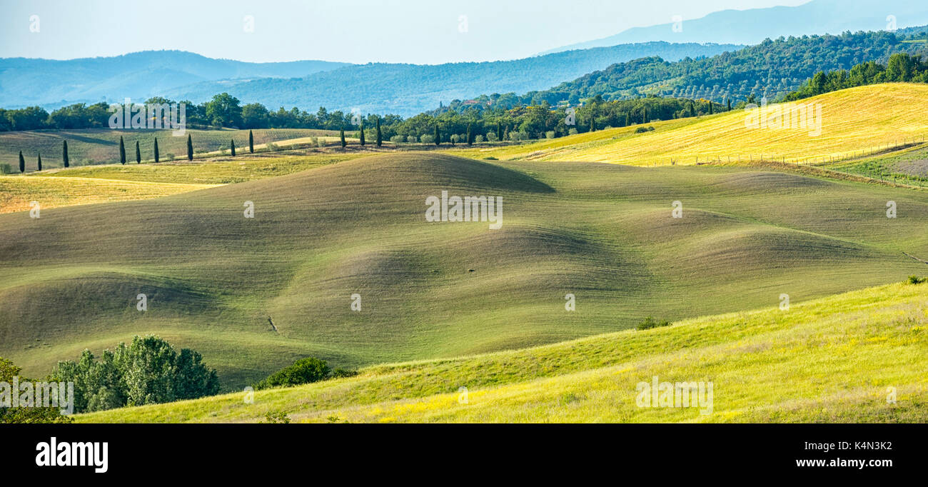 Prati, Asciano, val d'Orcia (Val d'Orcia), il sito patrimonio mondiale dell'unesco, Toscana, Italia, Europa Foto Stock