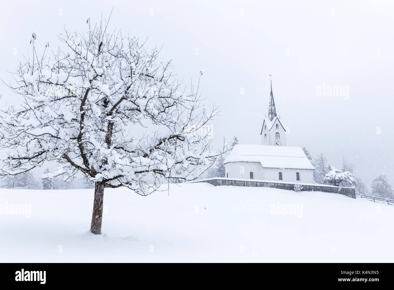 Chiesa di versam tra la neve-laden alberi, versam, safiental, surselva, Grigioni, Svizzera, Europa Foto Stock