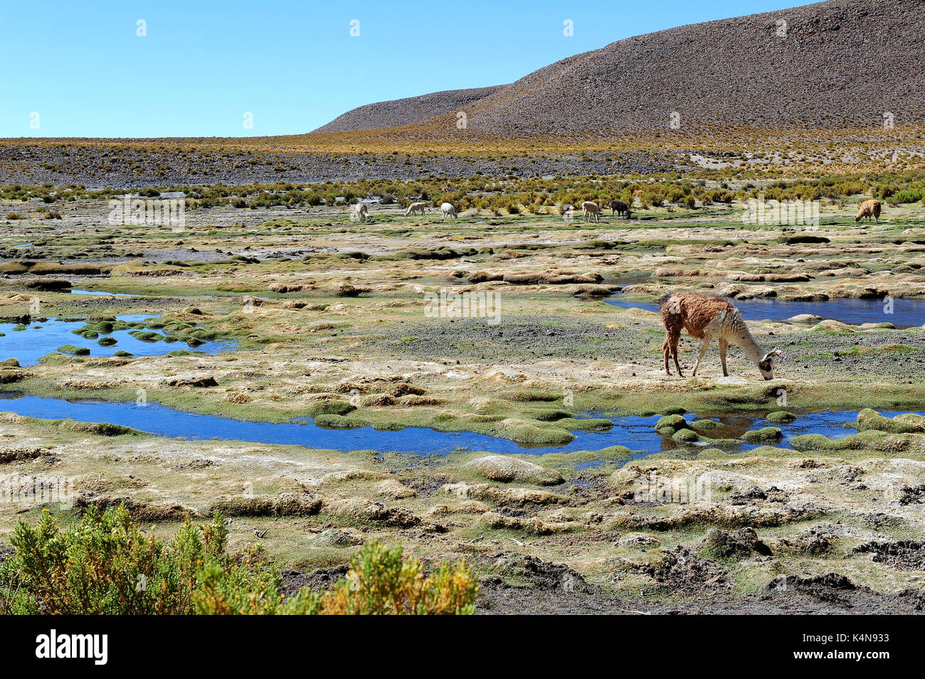 Paesaggio boliviano Foto Stock