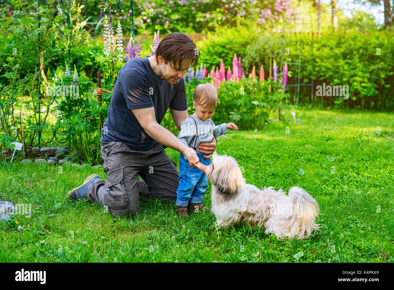 Padre e Figlio con shih tzu cane in estate il giardino verde Foto Stock