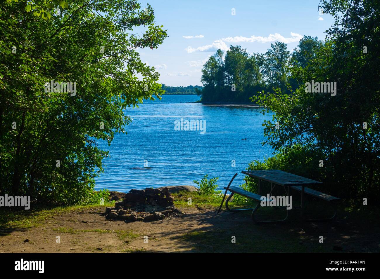 Loon nuotare sul fiume San Lorenzo vicino al campeggio Milles Roches con caminetto, tavolo da picnic e lungomare a Long Sault Ontario Canada Foto Stock