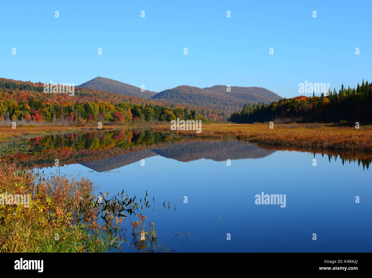 Kunjamuk navigabile fiume nelle Montagne Adirondack, in autunno, Upstate New York, NY USA Foto Stock