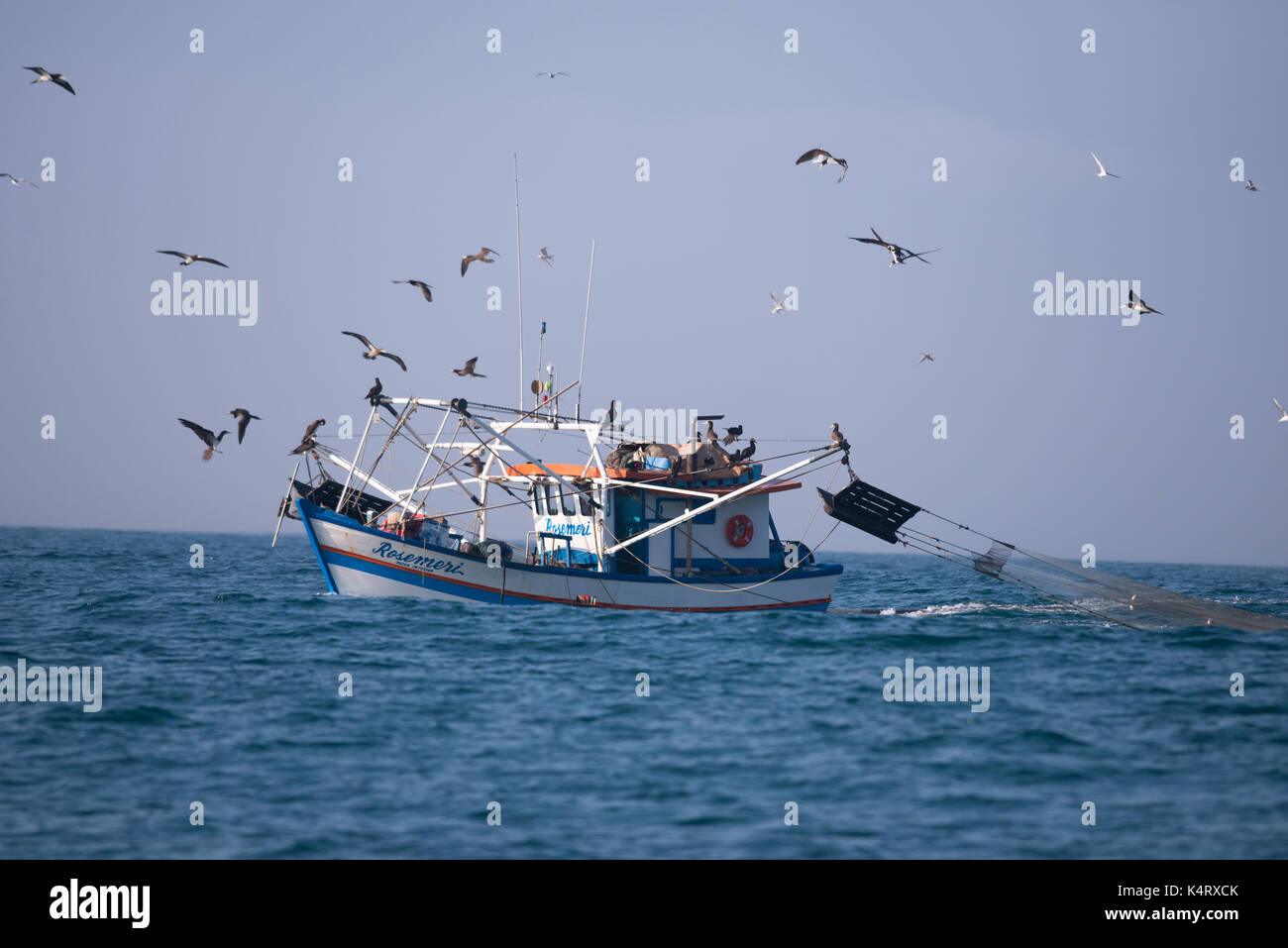 La pesca a strascico dei gamberi in barca da pesca Ilhabela, SE IL BRASILE Foto Stock