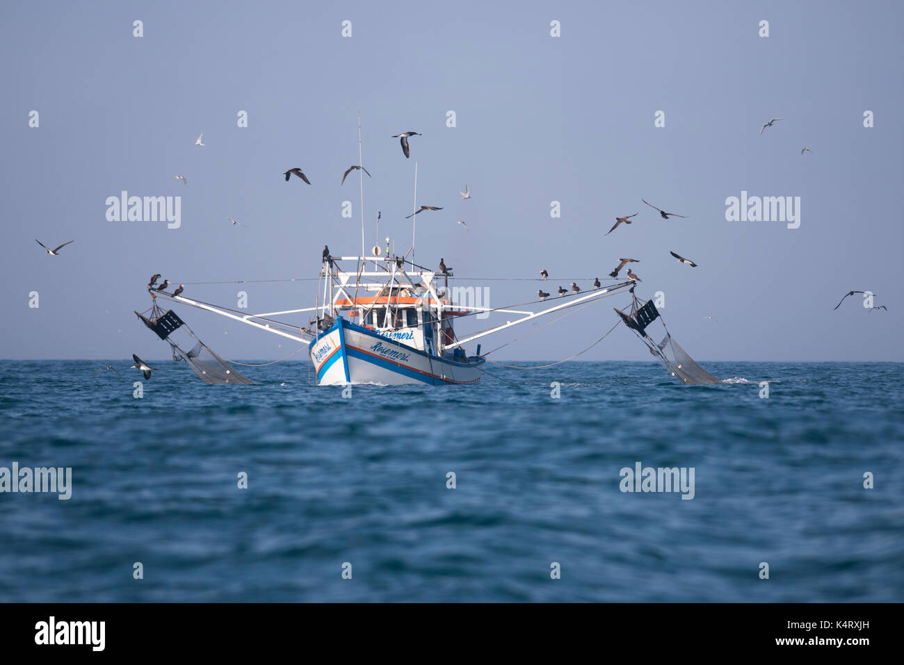 La pesca a strascico dei gamberi in barca da pesca Ilhabela, SE IL BRASILE Foto Stock