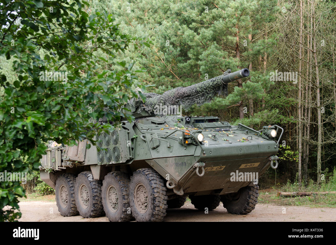 Gruppo di combattimento della Polonia Foto Stock