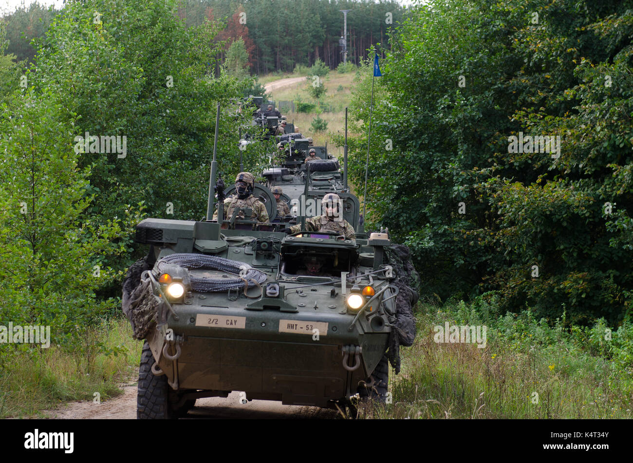 Gruppo di combattimento della Polonia Foto Stock