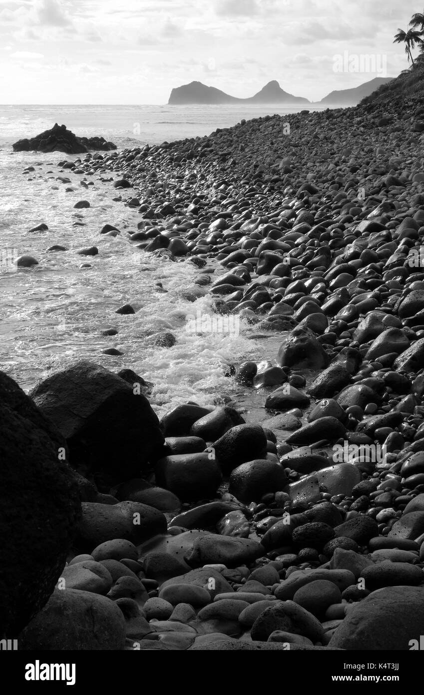 Spiaggia ghiaiosa nelle vicinanze Little Island, guardando verso Mt Eliza, Isola di Lord Howe, NSW, Australia Foto Stock