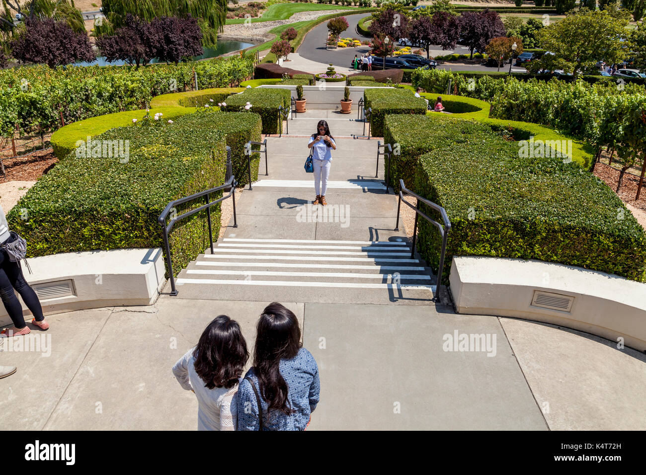 I turisti per scattare delle foto all'ingresso del Domaine Carneros Winery, Sonoma, CA, Stati Uniti d'America Foto Stock