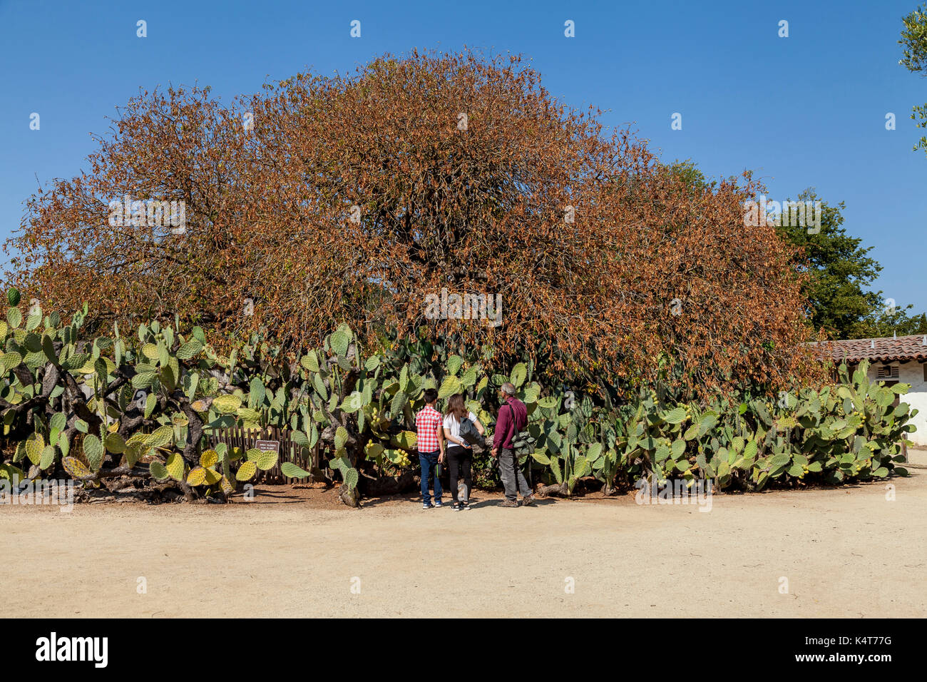 Tre i turisti che visitano la missione di San Francisco Solano, Sonoma, CA, Stati Uniti d'America Foto Stock