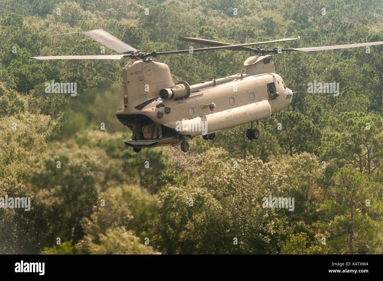 Un Ohio National Guard CH-47 Chinooks offre il fieno per il bestiame a filamento dopo l uragano Harvey inondazioni vicino a Beaumont, Texas, Sett. 5, 2017. Foto Stock