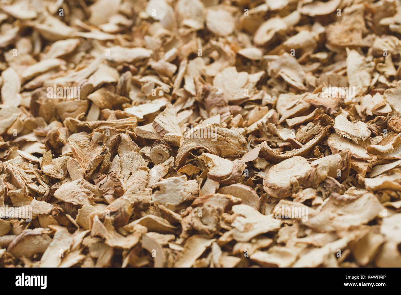 A base di erbe essiccate, galangal herb affettato. Foto Stock