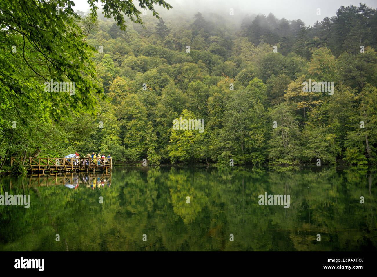 La riflessione di alberi nel lago a nebbioso giorno Foto Stock