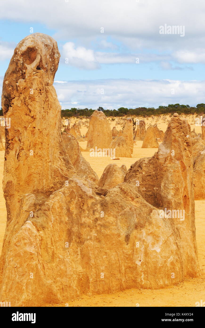 I pinnacoli, Nambung National Park, Australia Foto Stock