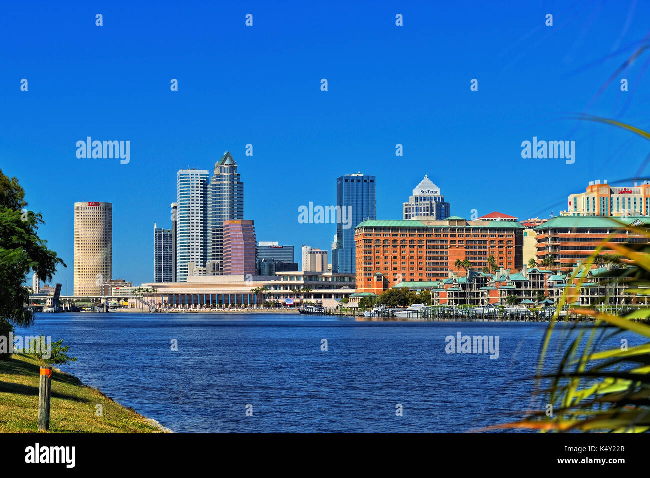 Tampa Florida skyline che mostra il Westin tampa waterside hotel su Harbor Island e il alti edifici del centro di Tampa, a destra sulla baia di Tampa. Foto Stock