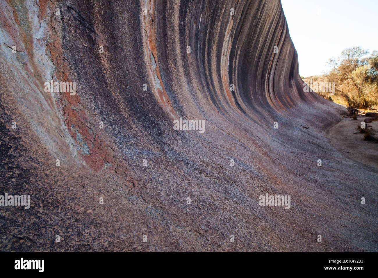 La forma d'onda o Hyden Rock è uno di Australia più famoso landforms. ￼W.Australia. Foto Stock