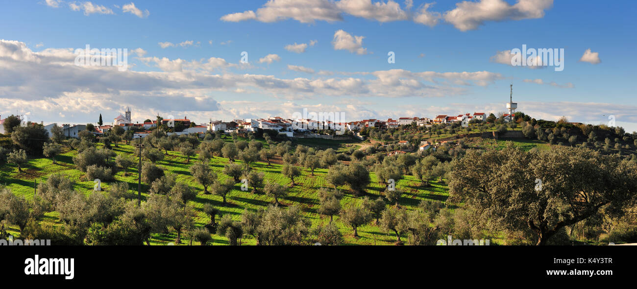 Il piccolo villaggio di seda e i suoi oliveti, alentejo. Portogallo Foto Stock