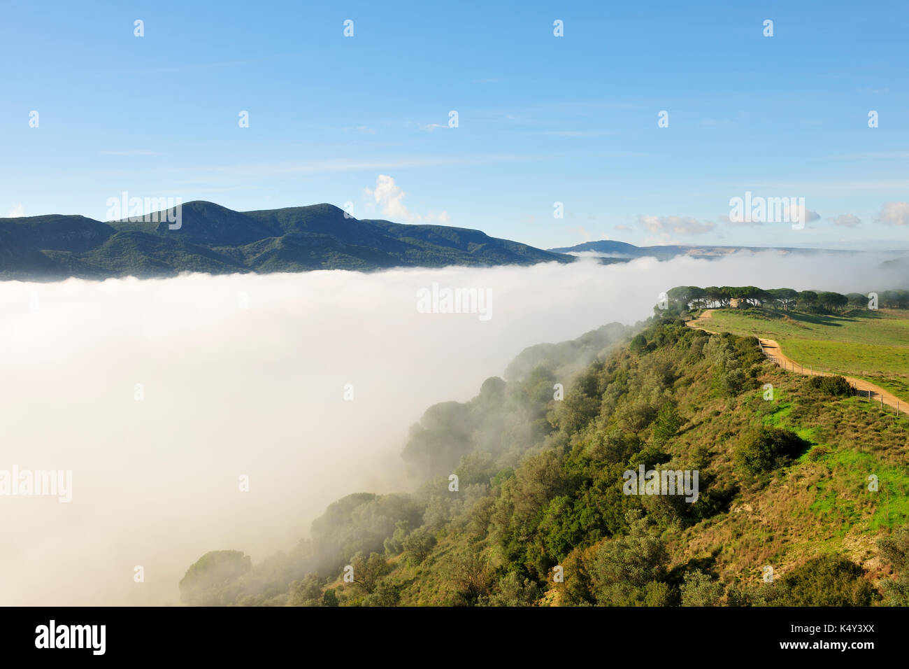 Parco naturale di Arrabida in una mattinata foggosa. Portogallo Foto Stock