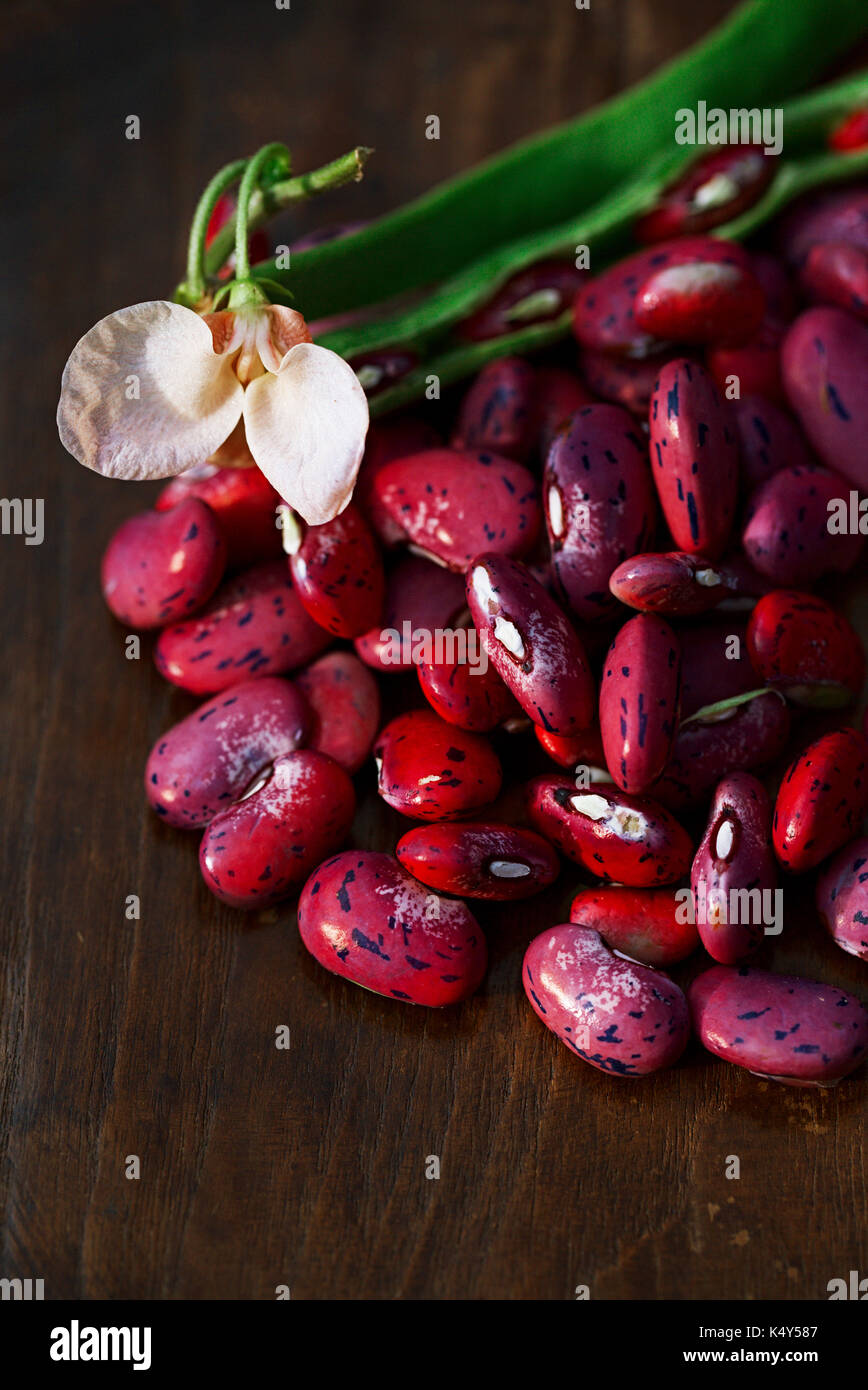Esecuzione di scarlatto i fagioli - pod, fiore e i fagioli sul tavolo di legno Foto Stock
