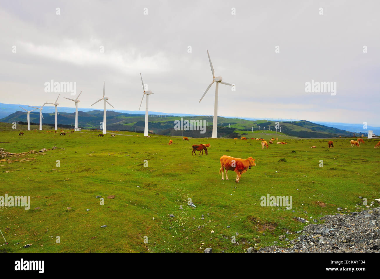 Parco eolie sulla costa della morte, la Provenza di A Coruña in Galizia Foto Stock