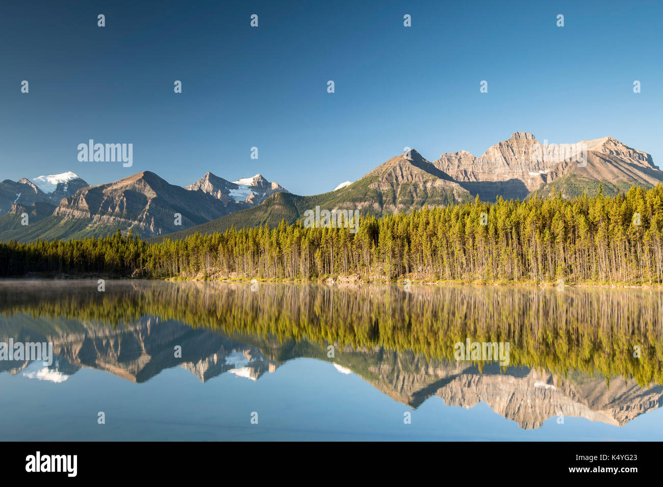 Herbert lago con atmosfera mattutina, la riflessione della gamma di prua, il parco nazionale di Banff, Canadian Rocky Mountains, Alberta Foto Stock