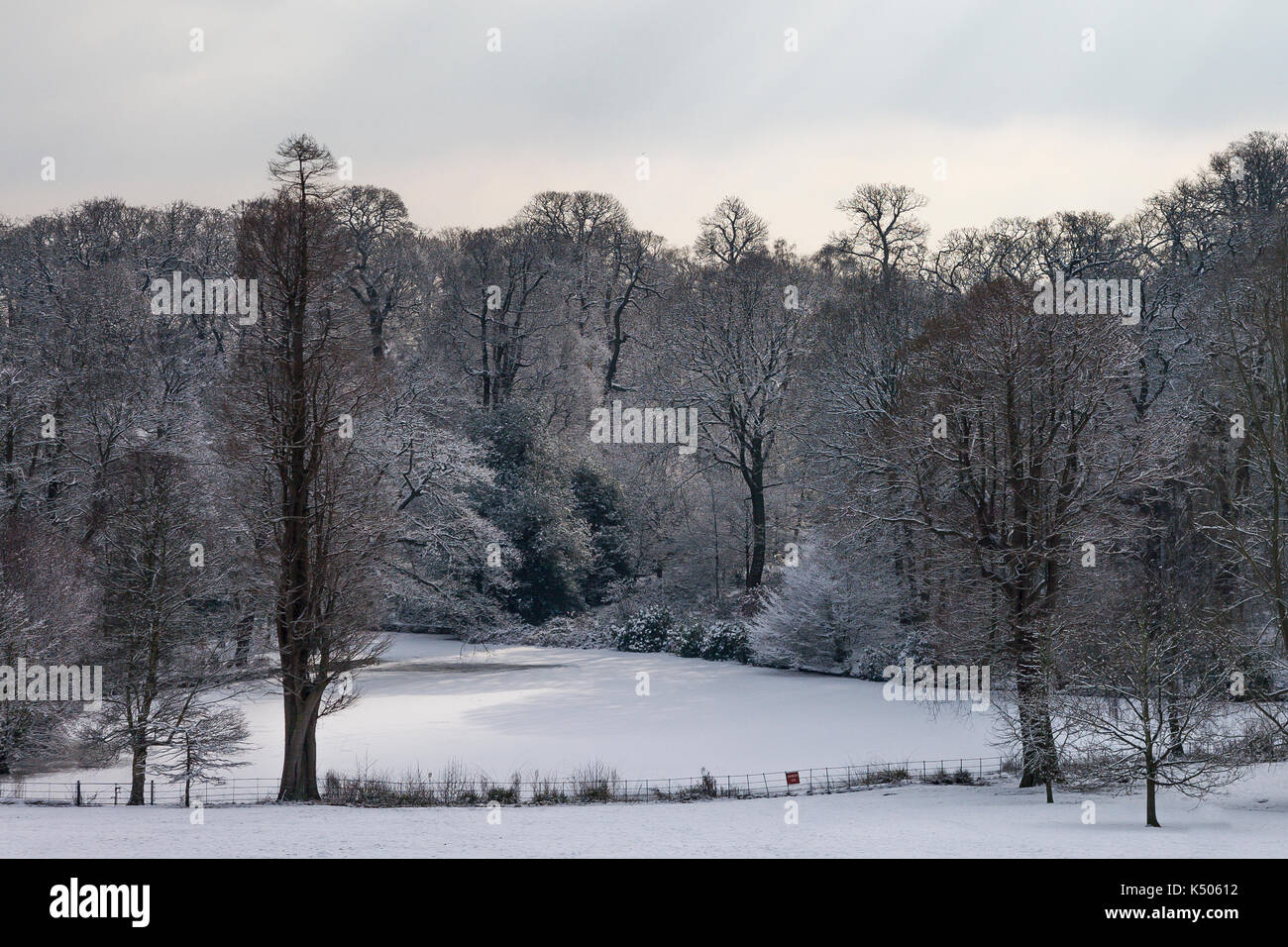 In inverno la neve su Hampstead Heath di Londra. romantico scene di neve in uno di Londra più famoso degli spazi pubblici Foto Stock