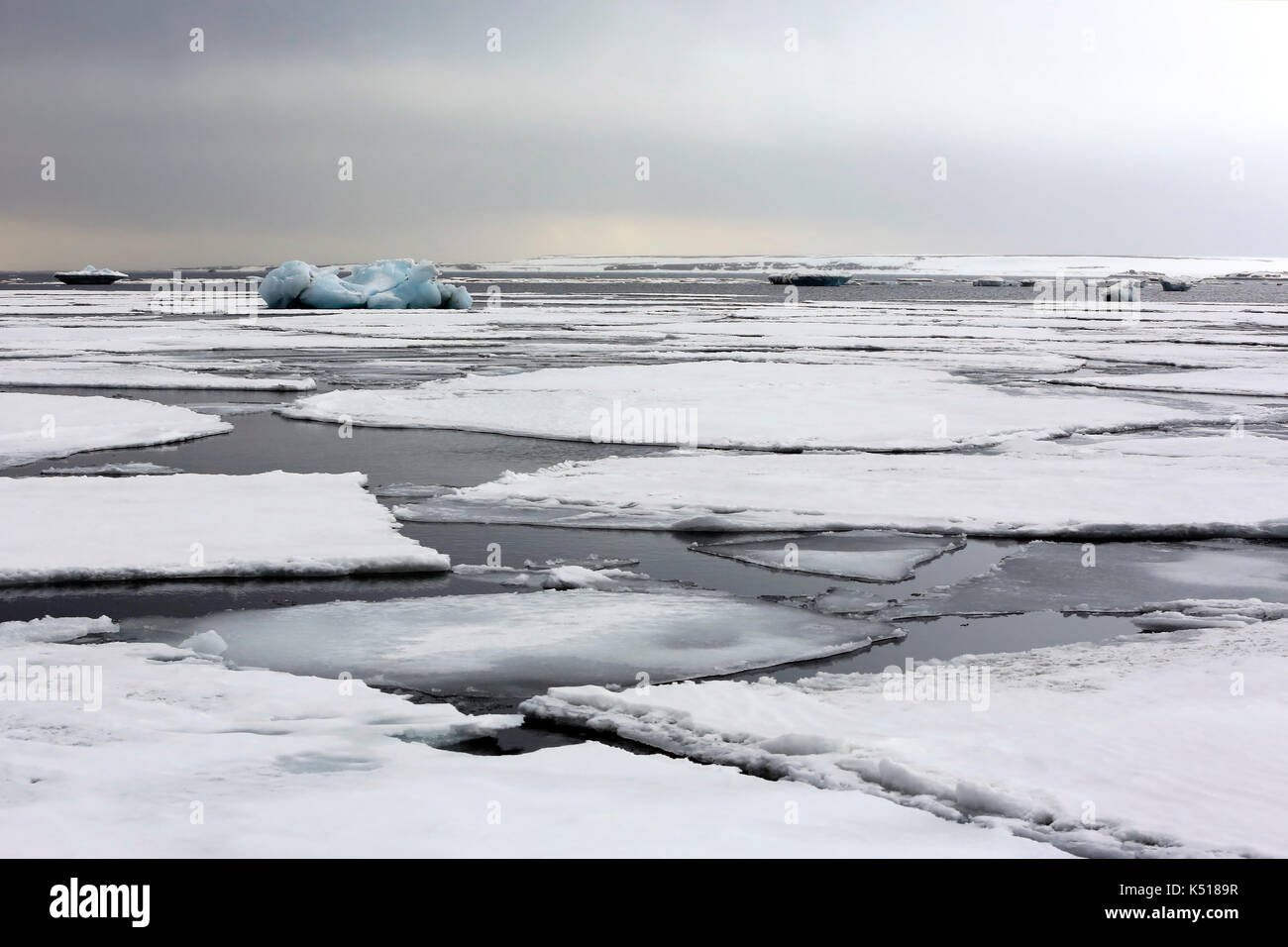 Ice-floes e acqua, al di fuori di spitsbergen. svalbard, Norvegia Foto Stock