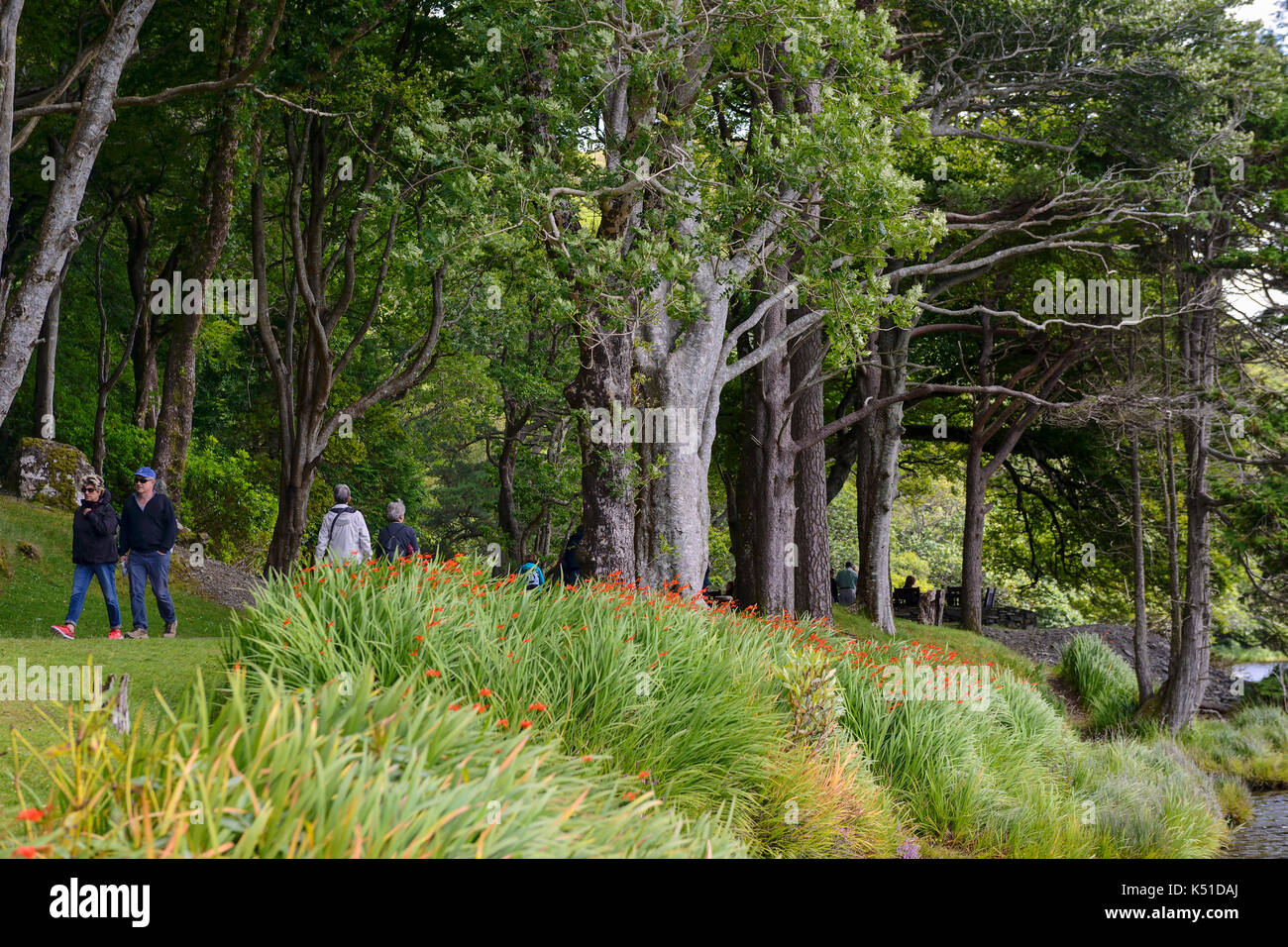 Bosco a piedi a Kylemore Abbey sulle rive del Lough Pollacappul in Connemara, nella contea di Galway, Repubblica di Irlanda Foto Stock