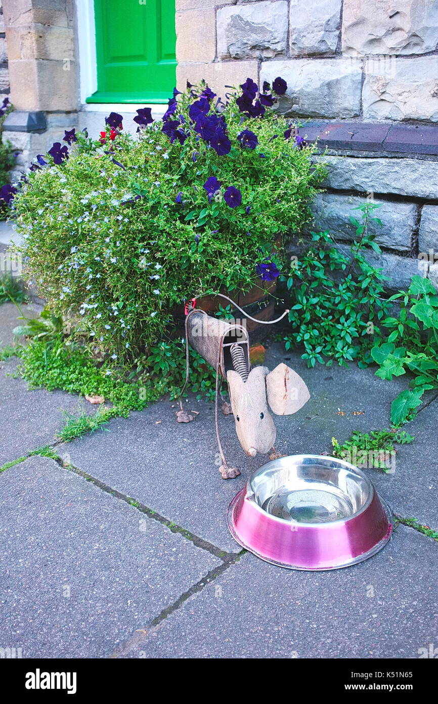 Bere doggy Foto Stock