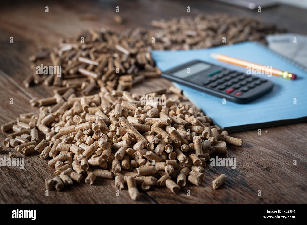 Famiglia di calcolo dei costi di riscaldamento. i pellet di legno, biomasse, efficace ed ecologica ed economica riscaldamento, sostenibile e rinnovabile en Foto Stock