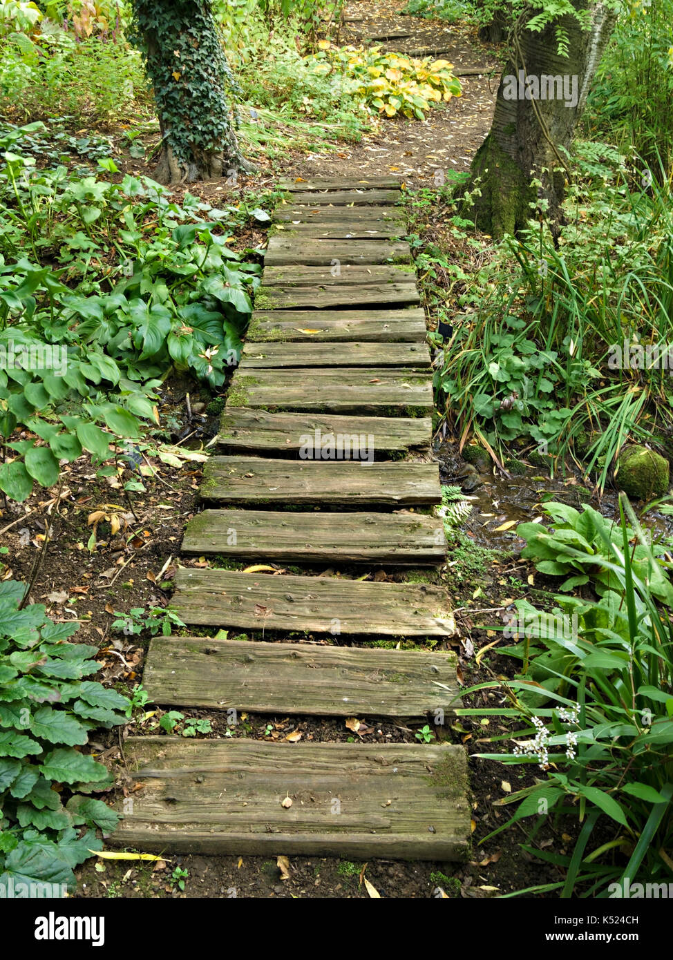 Rustici e vecchi woodland garden percorso fatto da Spalato in legno i registri di legname, Coton Manor Gardens, Northamptonshire, England, Regno Unito Foto Stock