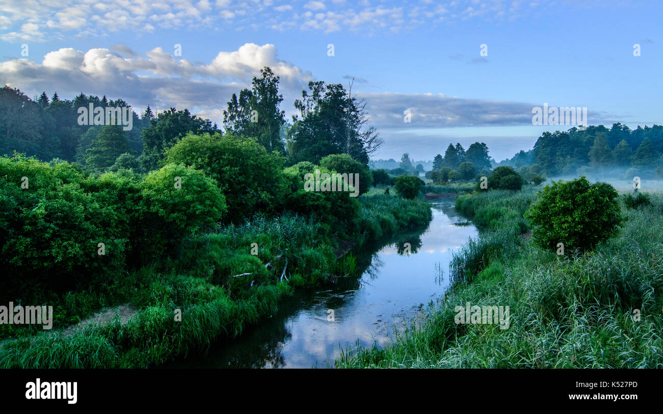 Fiume Narewka nella maggior parte Kosy River Valley, Bialowieza National Park. Luglio, 2017. Foto Stock