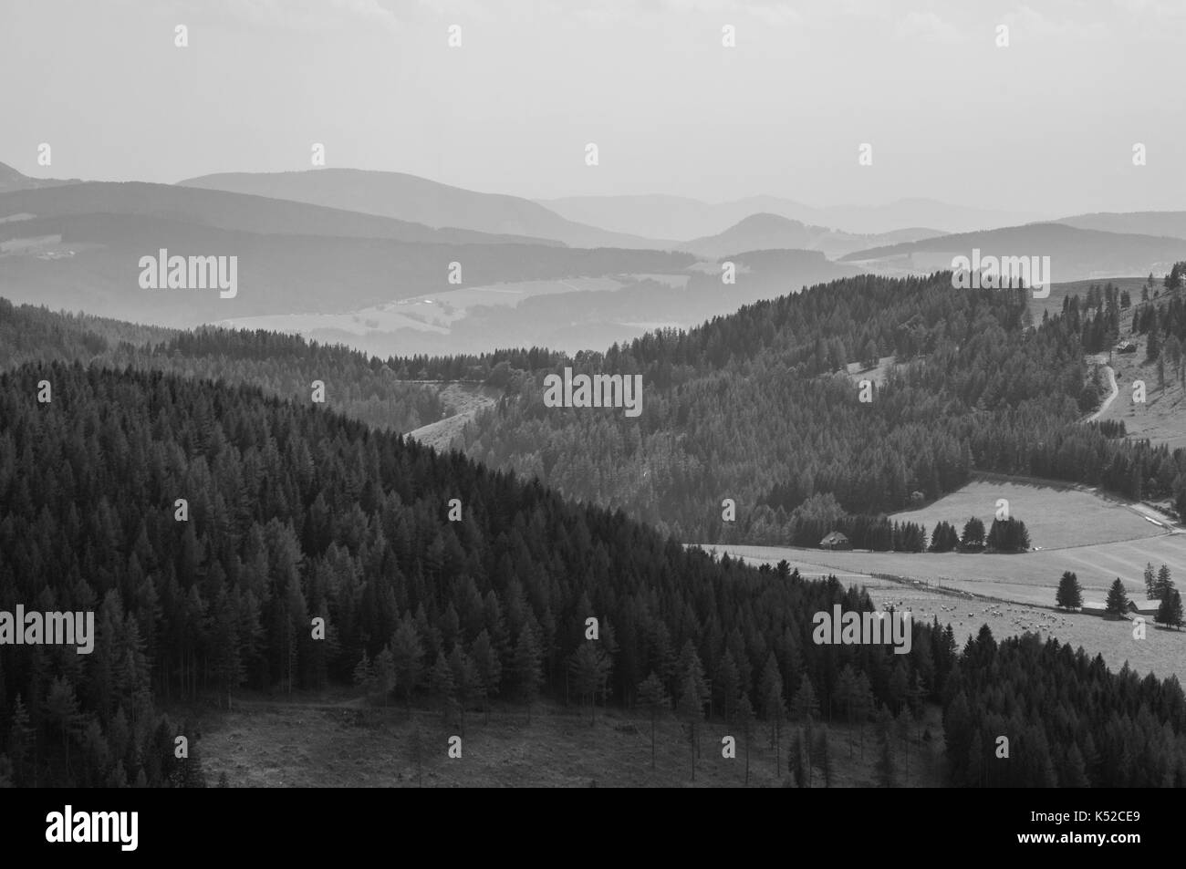 Le dolci colline del sud austria (nero/bianco) Foto Stock