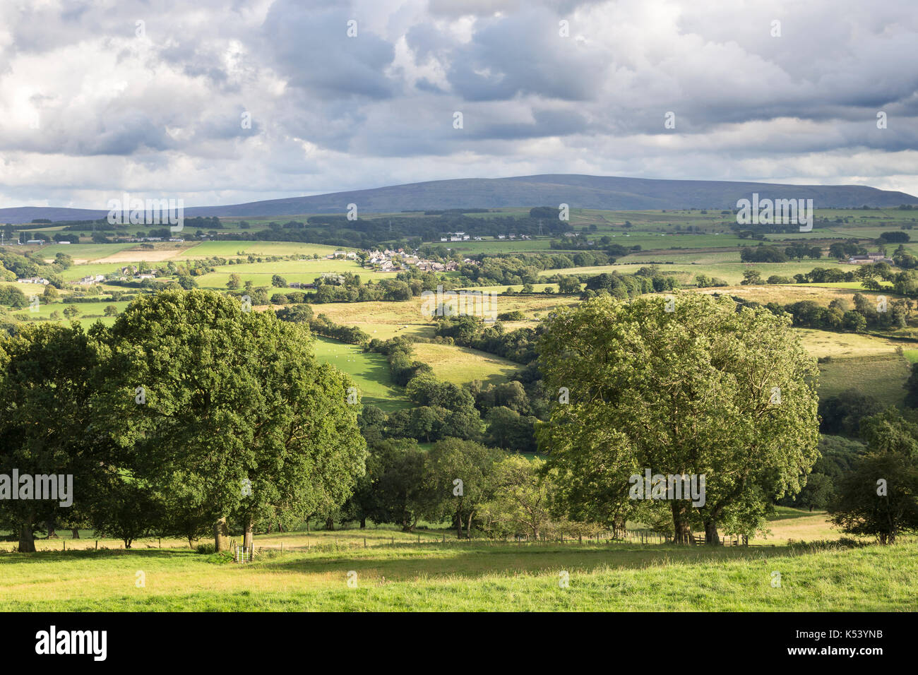 Il Vallo di Adriano, Cumbria Inghilterra - la vista a sud, guardando verso il freddo è sceso da oltre il luccio segnale hill station e la torretta 52a (banche est) Foto Stock