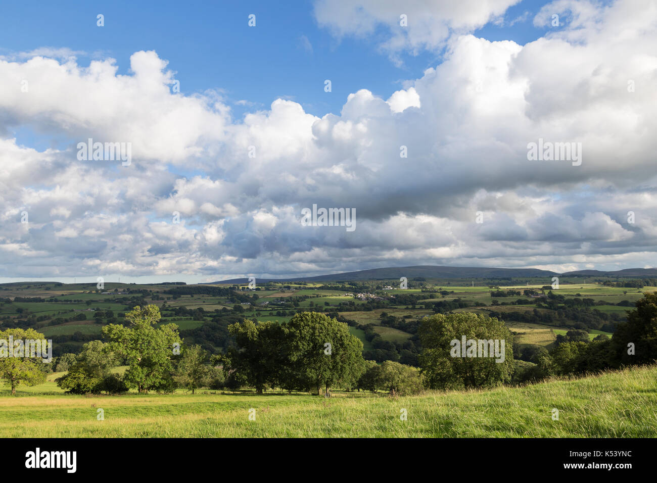 Il Vallo di Adriano, Cumbria Inghilterra - la vista a sud, guardando verso il freddo è sceso da oltre il luccio segnale hill station e la torretta 52a (banche est) Foto Stock