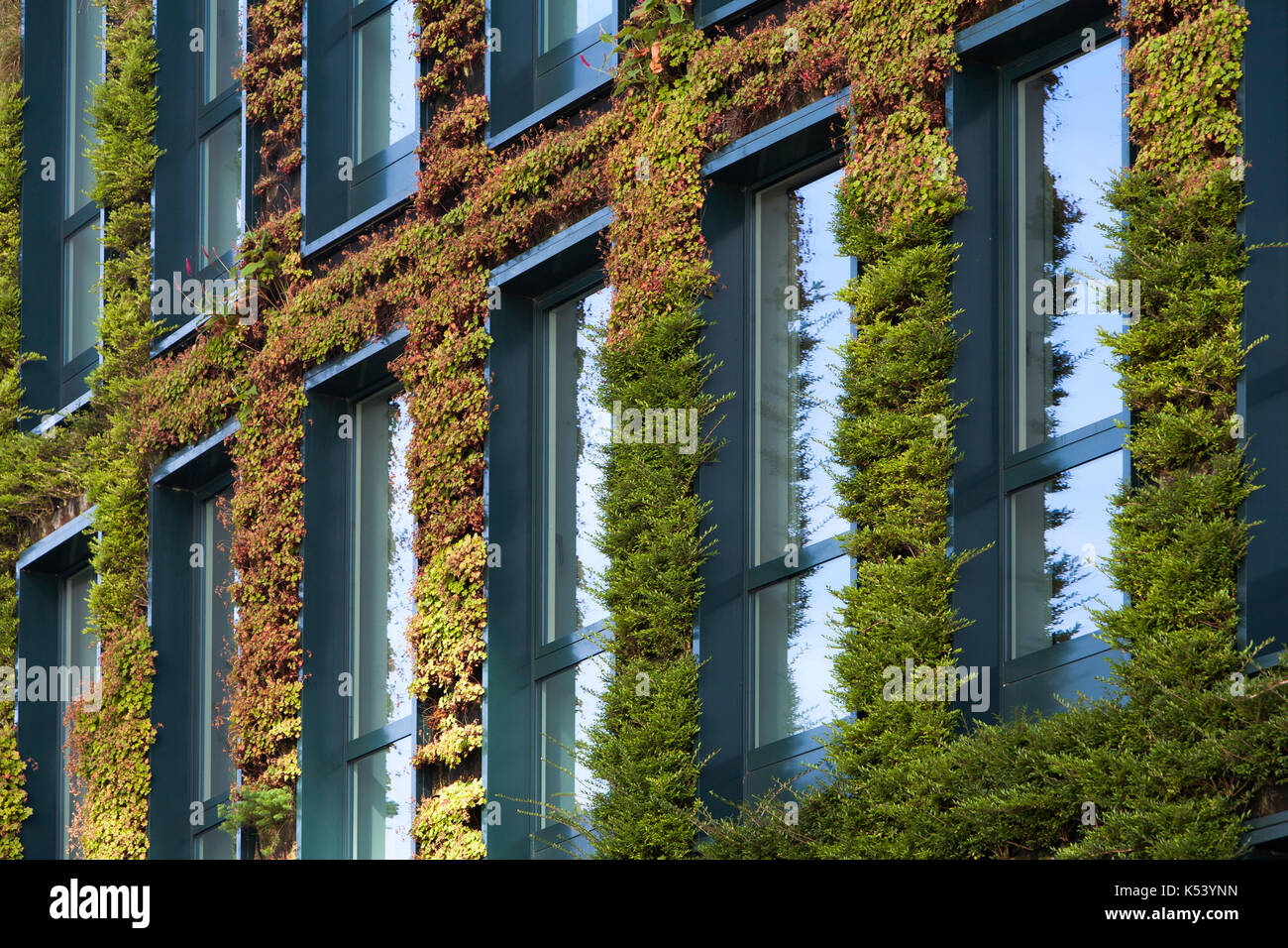 Edificio con verdi ecologici parete ricoperta con piante di Rotterdam nei Paesi Bassi Foto Stock
