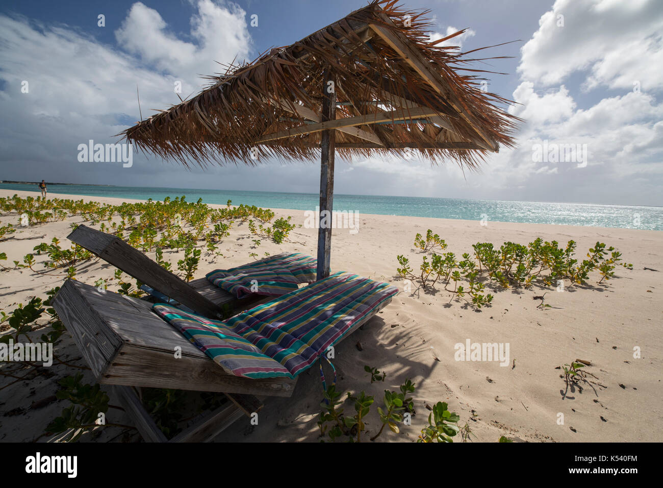Lettini, sabbia rosa beach, Antigua e Barbuda Foto Stock