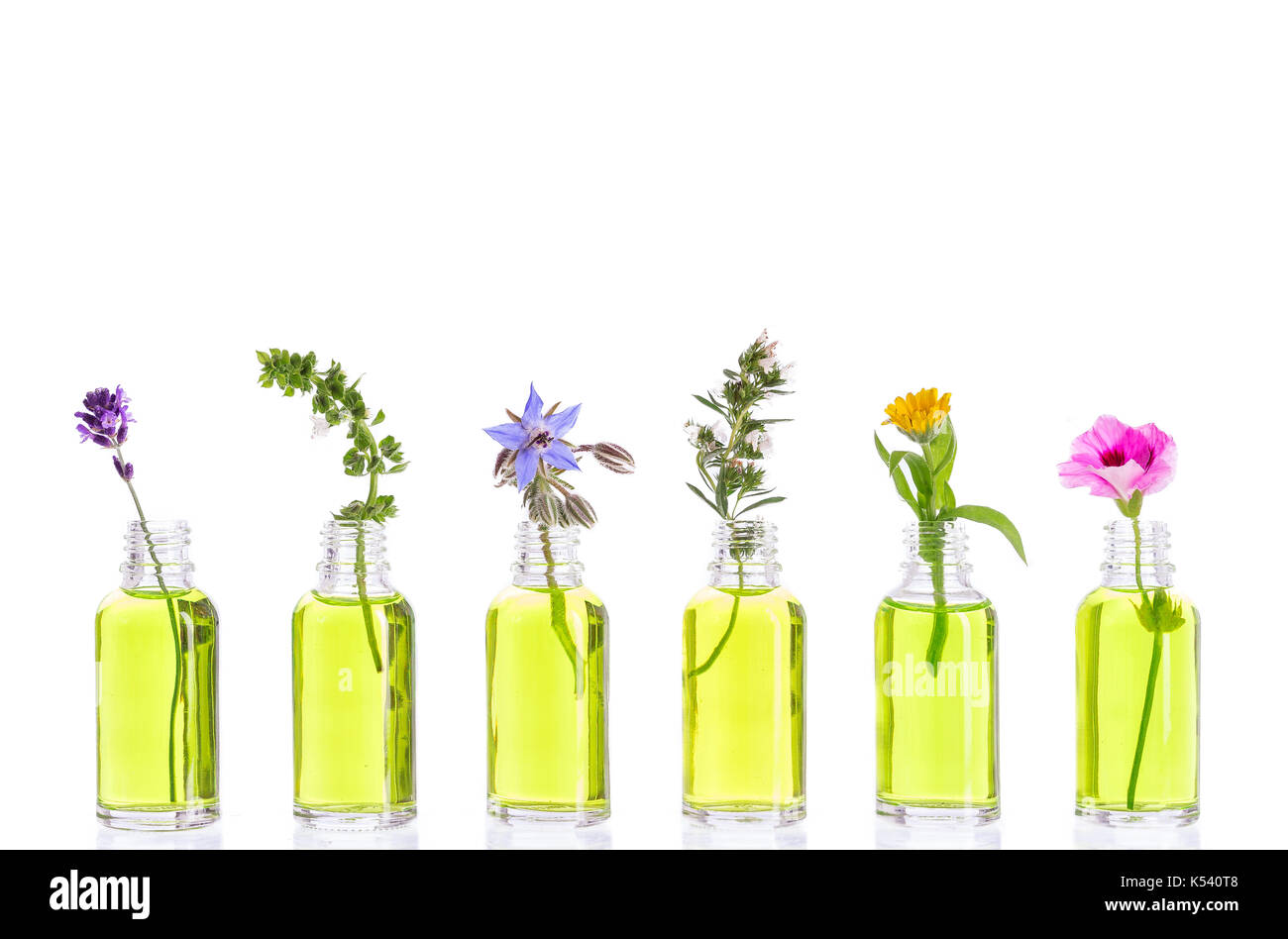 Bottiglia di olio essenziale con erbe e fiori impostato su sfondo bianco . Foto Stock