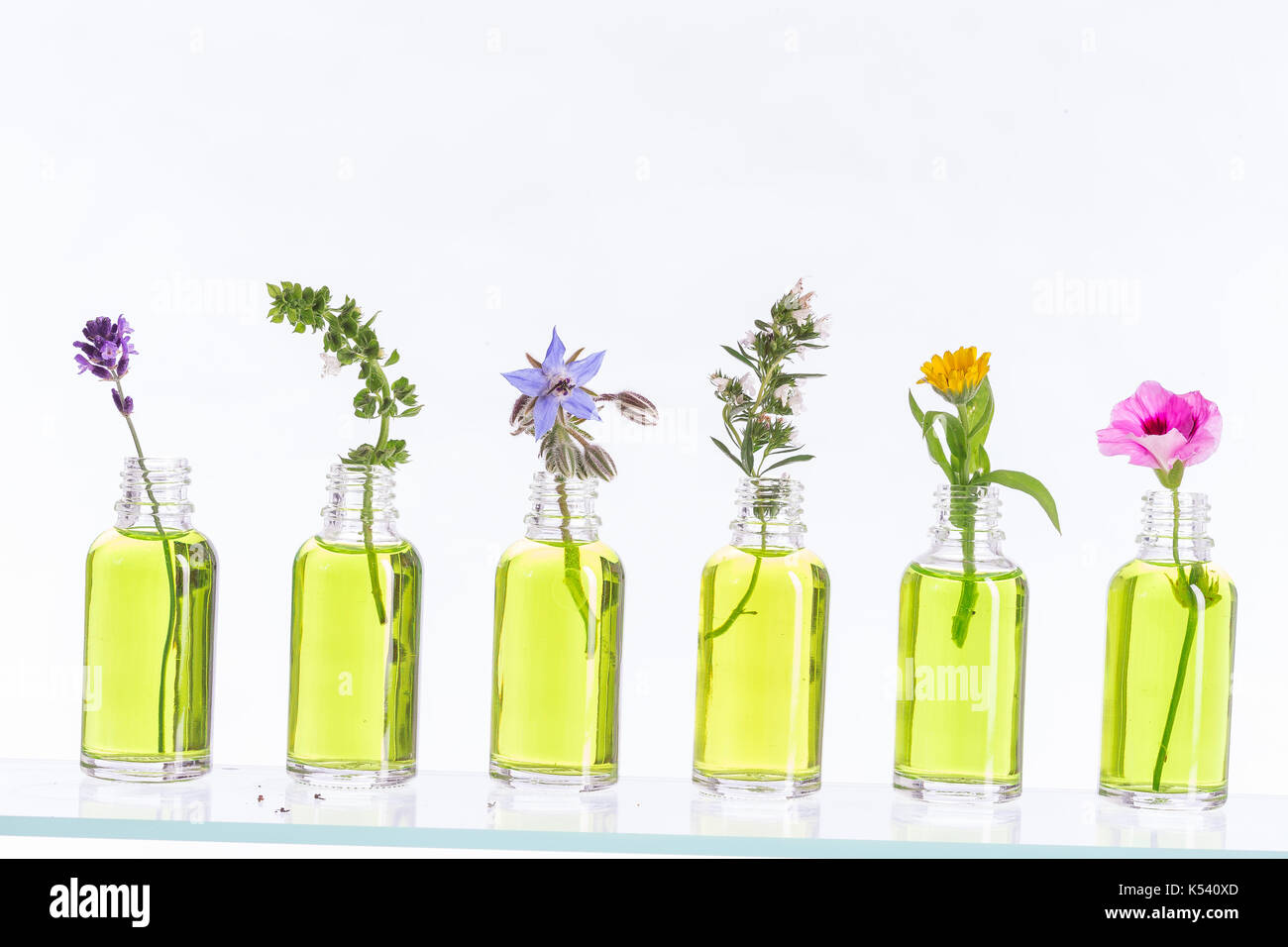 Bottiglia di olio essenziale con erbe h mint impostato su sfondo bianco . Foto Stock