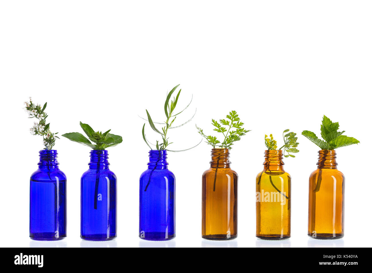 Blu e marrone a bottiglia di olio essenziale con erbe e fiori impostato su sfondo bianco . Foto Stock
