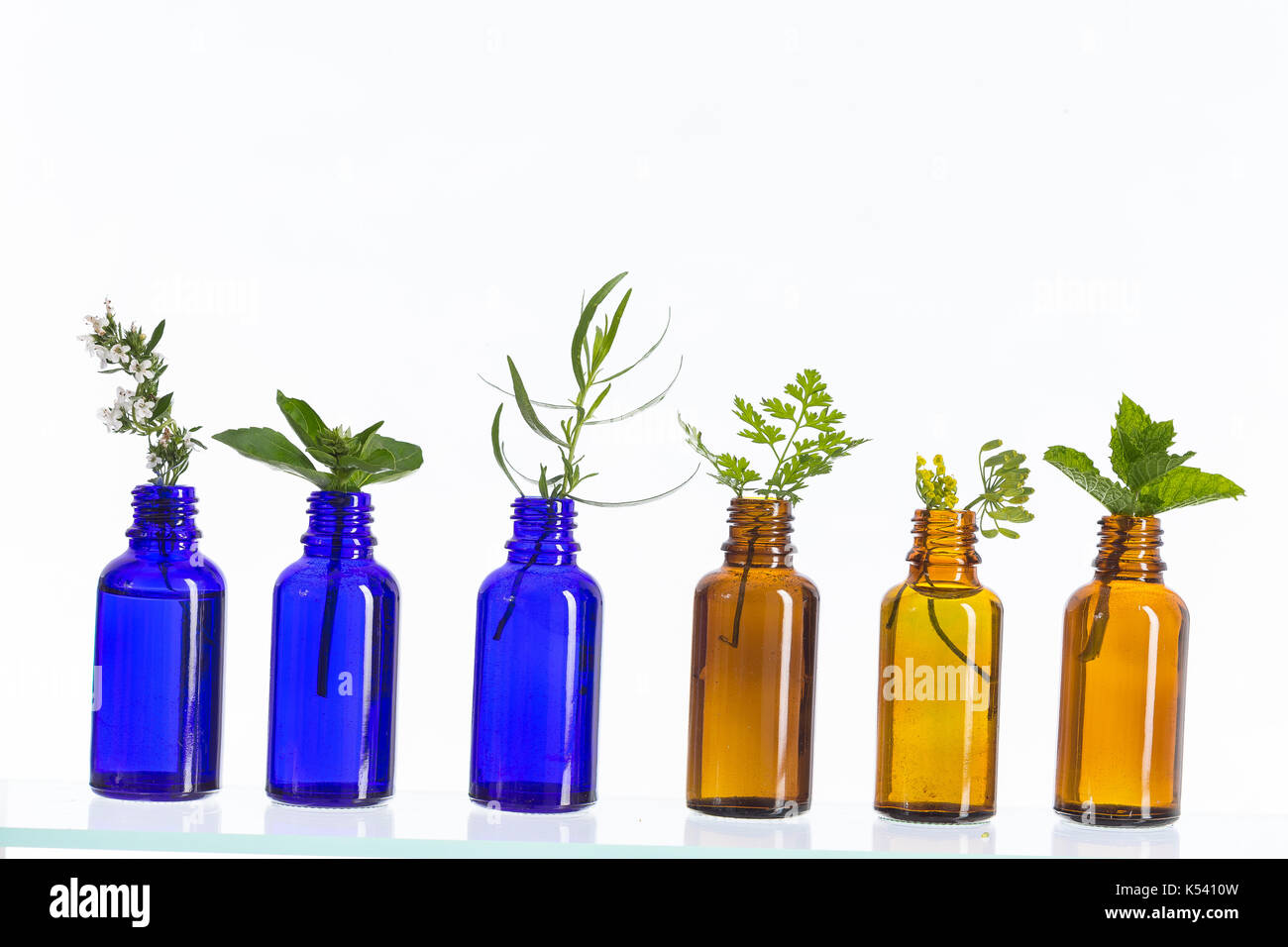 Blu e marrone a bottiglia di olio essenziale con erbe e fiori impostato su sfondo bianco . Foto Stock