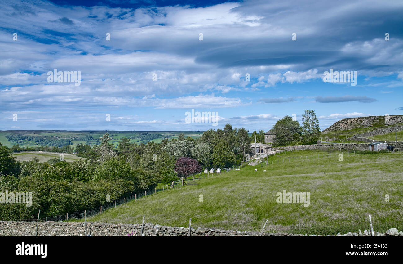 Sunny luglio moorland vista guardando verso est verso ponte Pateley da moorhouses con segni distintivi di cielo blu e nuvole bianche Foto Stock