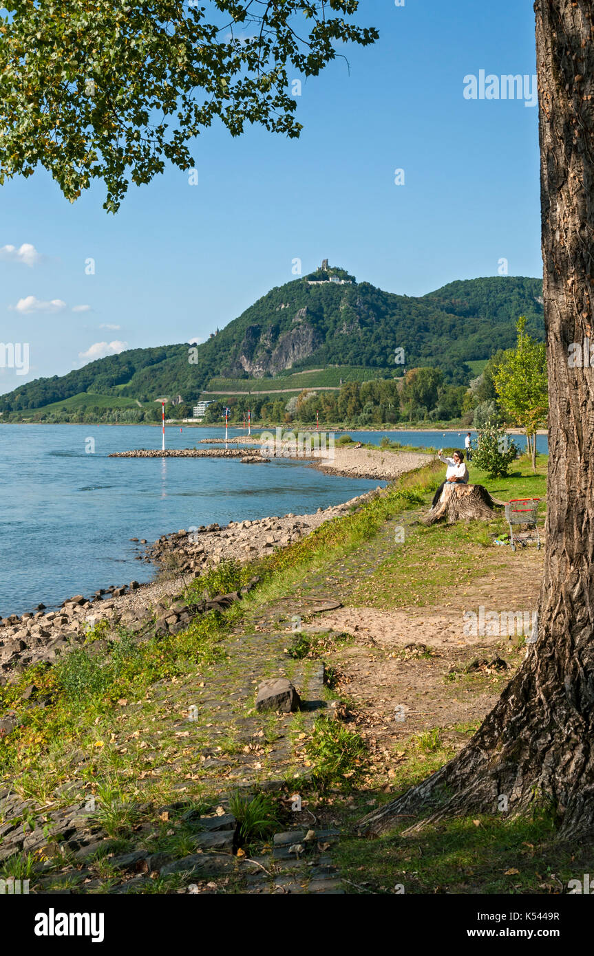 Drachenfels e il Reno da grafenwerth, Bad Honnef, NRW, Germania. Foto Stock