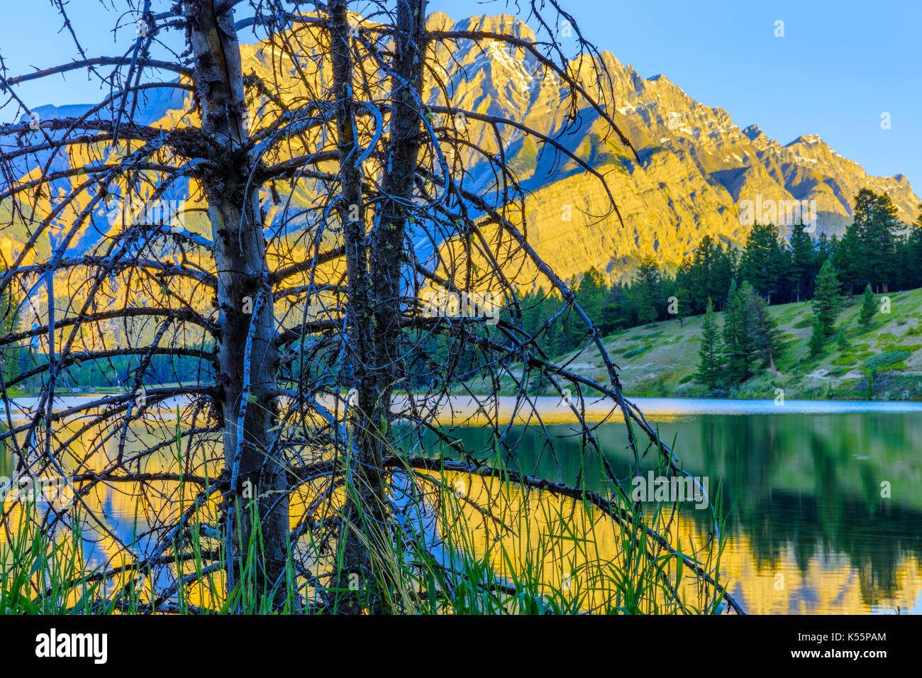 La Cascade Mountain riflessa in johnson lago nel parco nazionale di Banff, Alberta Canada Foto Stock