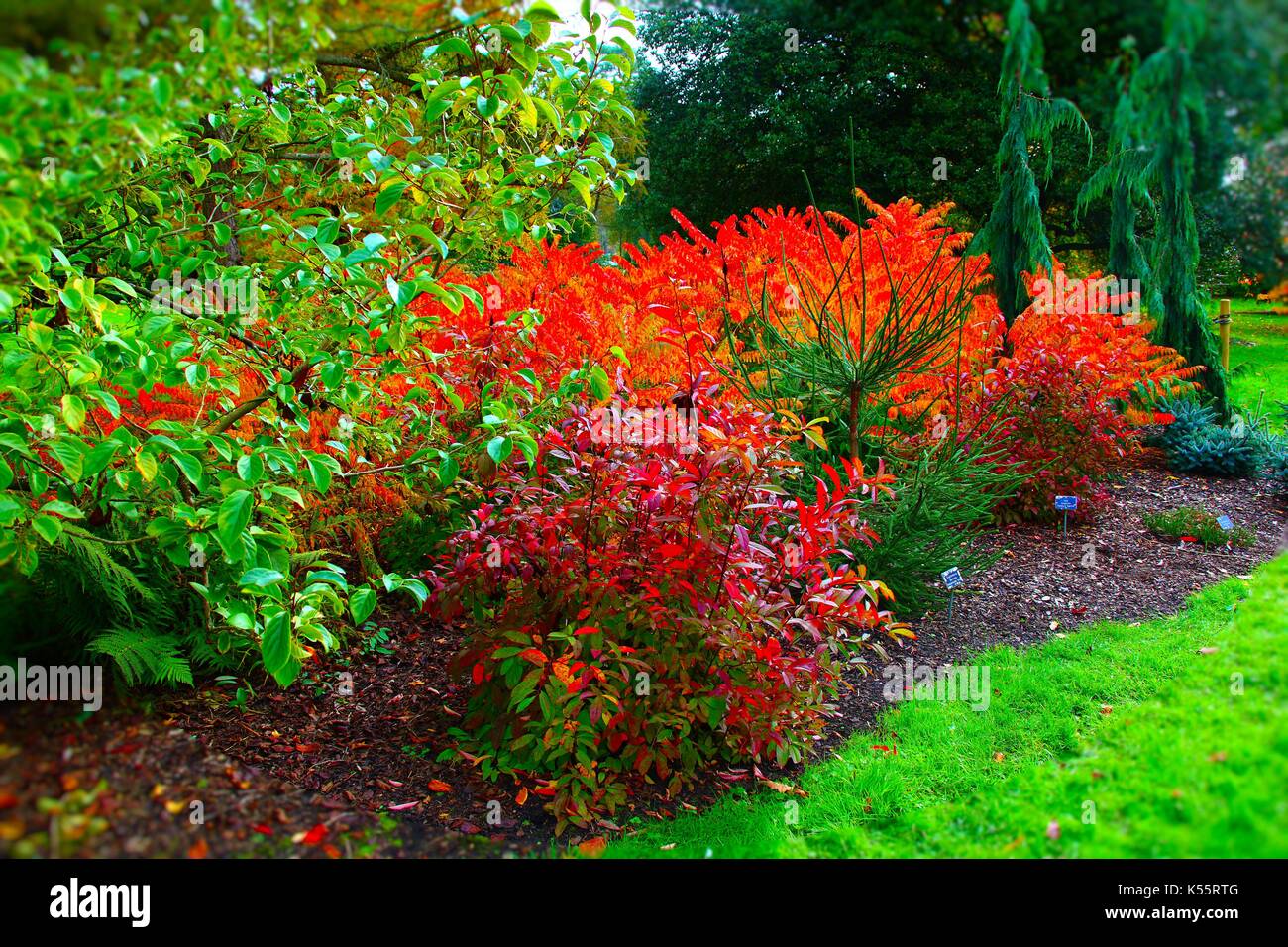 Rhs wisley nel mese di ottobre Foto Stock