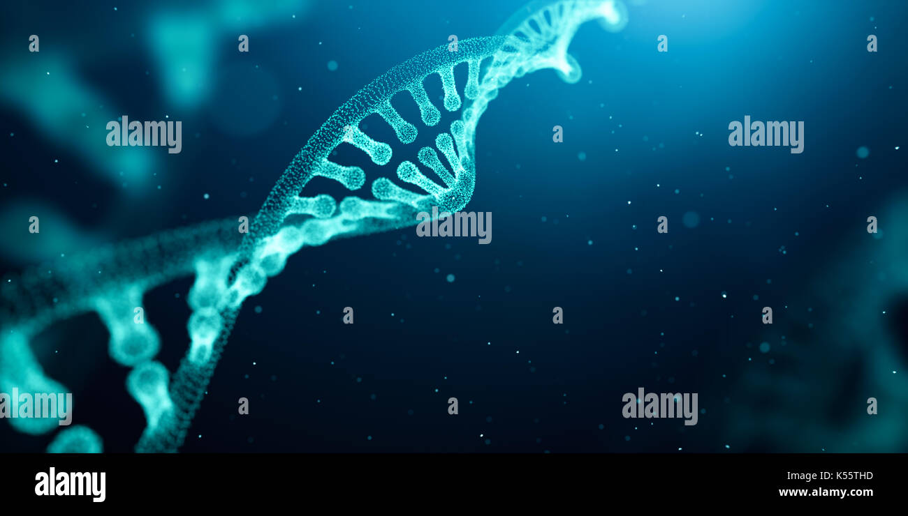 struttura del DNA Foto Stock