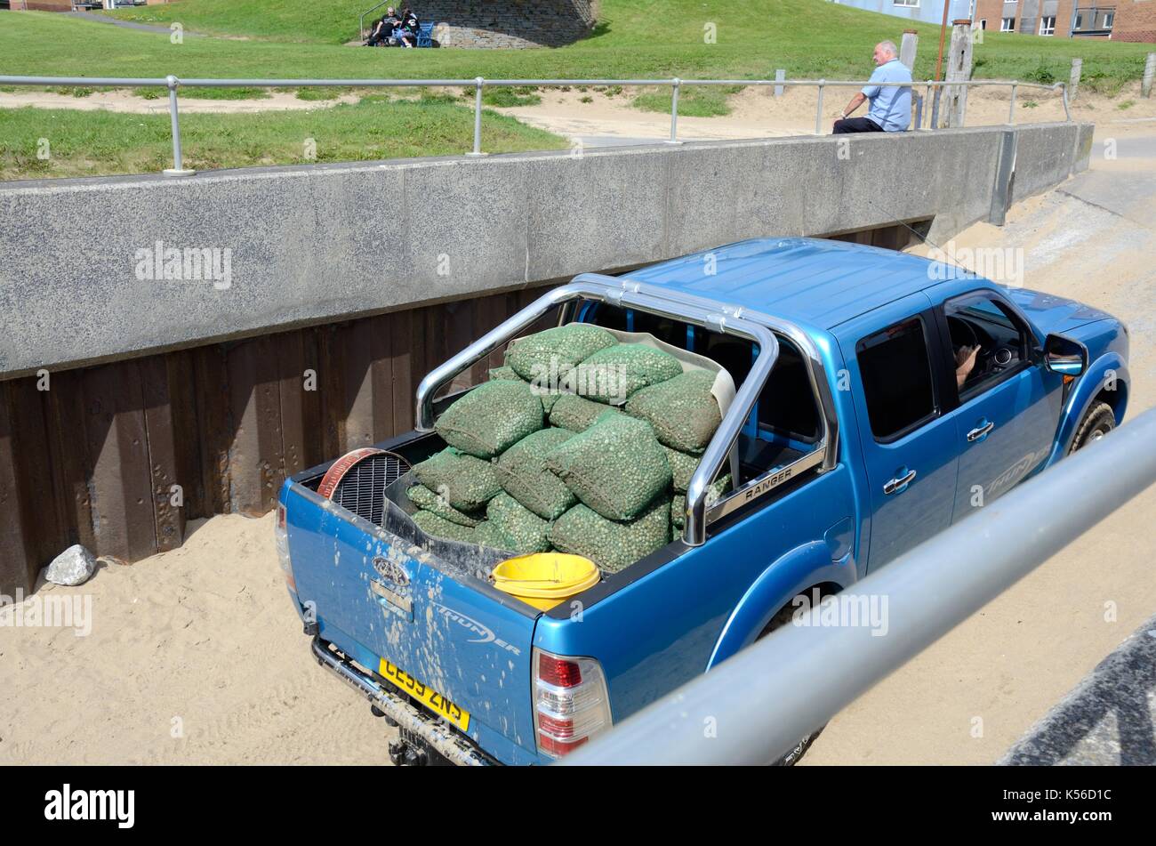 Cardidi essendo estratto di estuario Loughor a Llanelli Beach in un 4x4 pickup truck Carmarthenshire Galles Cymru REGNO UNITO GB Foto Stock