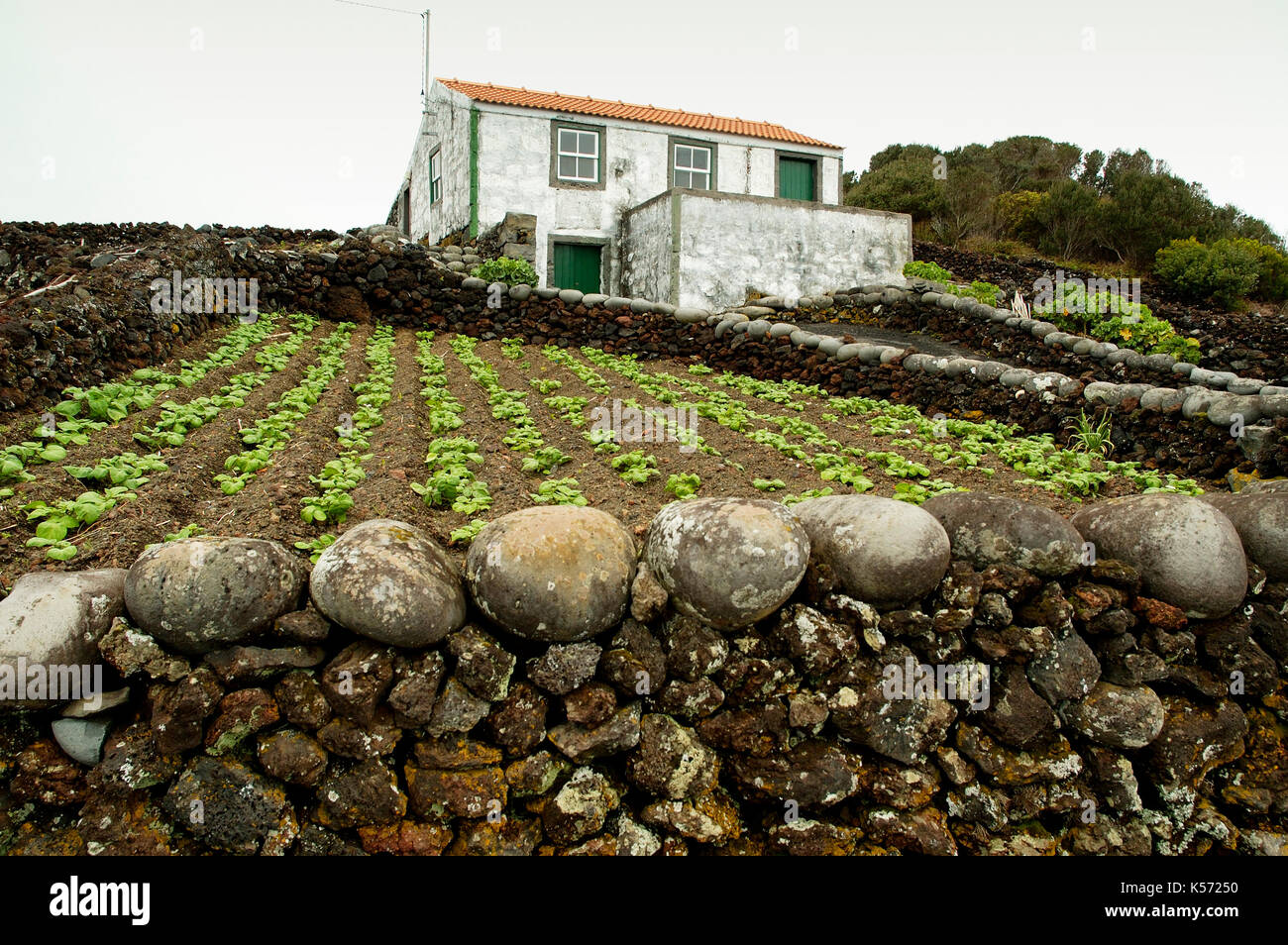 Casa tradizionale di Pico. Isole Azzorre, Portogallo Foto Stock